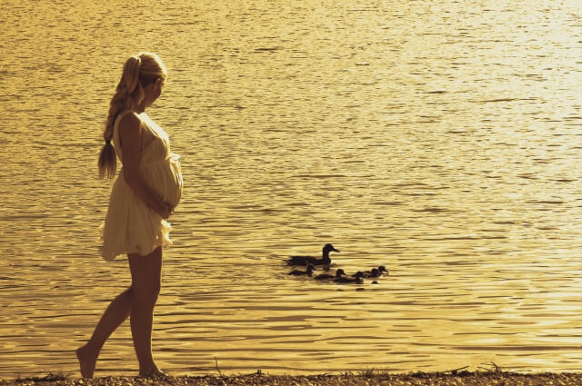 川の鳥を眺める妊娠中の女性