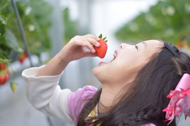 いちごを食べる女の子