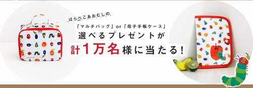 ゼクシィbabyの全員無料母子手帳ケース